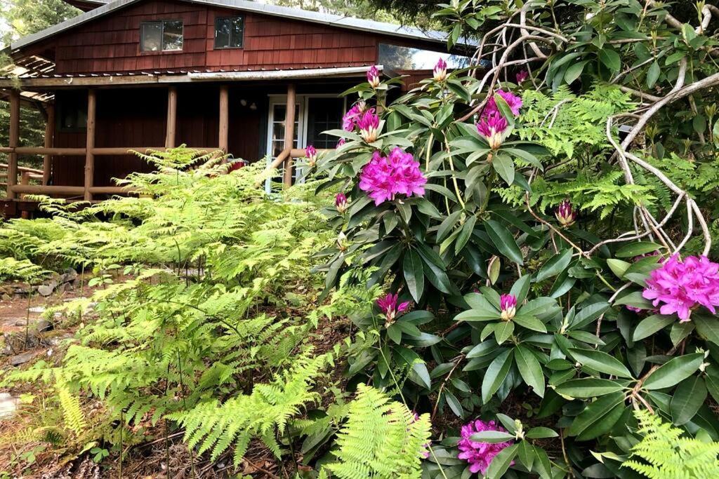 The Cabin In Packwood Exterior foto